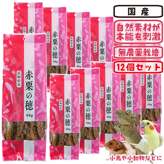 訳蟻商いもの集まってます！【 アウトレットセール 】