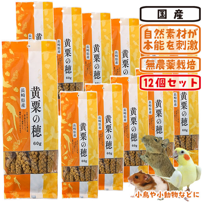 訳蟻商いもの集まってます！【 アウトレットセール 】