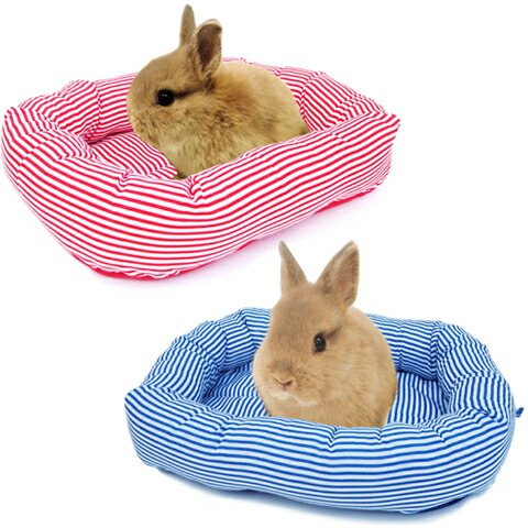 楽天市場 レインボー うさちゃんのハッピーベッド 寝床 マット ハウス ボーダー うさぎ モルモット Rainbow 小動物専門店ヘヴン