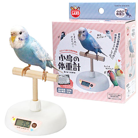 小鳥　飼育セット 0000000038852_H1I54Gx.jpg