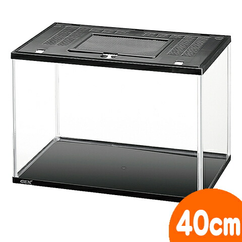 楽天市場】爬虫類 飼育ケース 観音開き 30×30×45cm ガラス 昆虫飼育