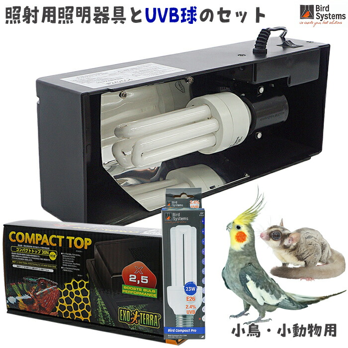 訳蟻商いもの集まってます！【 アウトレットセール 】