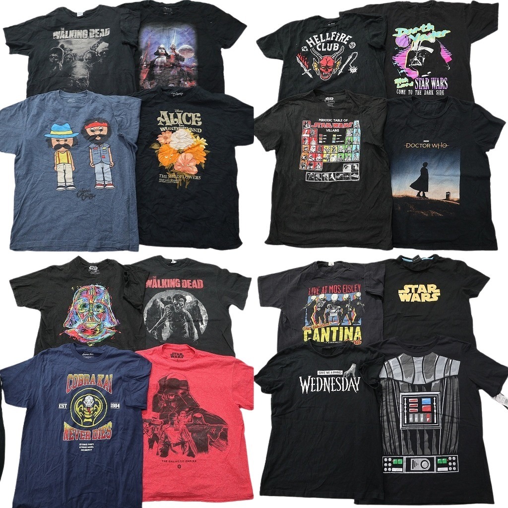 古着卸 まとめ売り 映画・ドラマ 半袖Tシャツ 16枚セット (メンズ L ) ディズニー アリス ホラー ウェンズデー ベスト・キッド 中古 NE0001