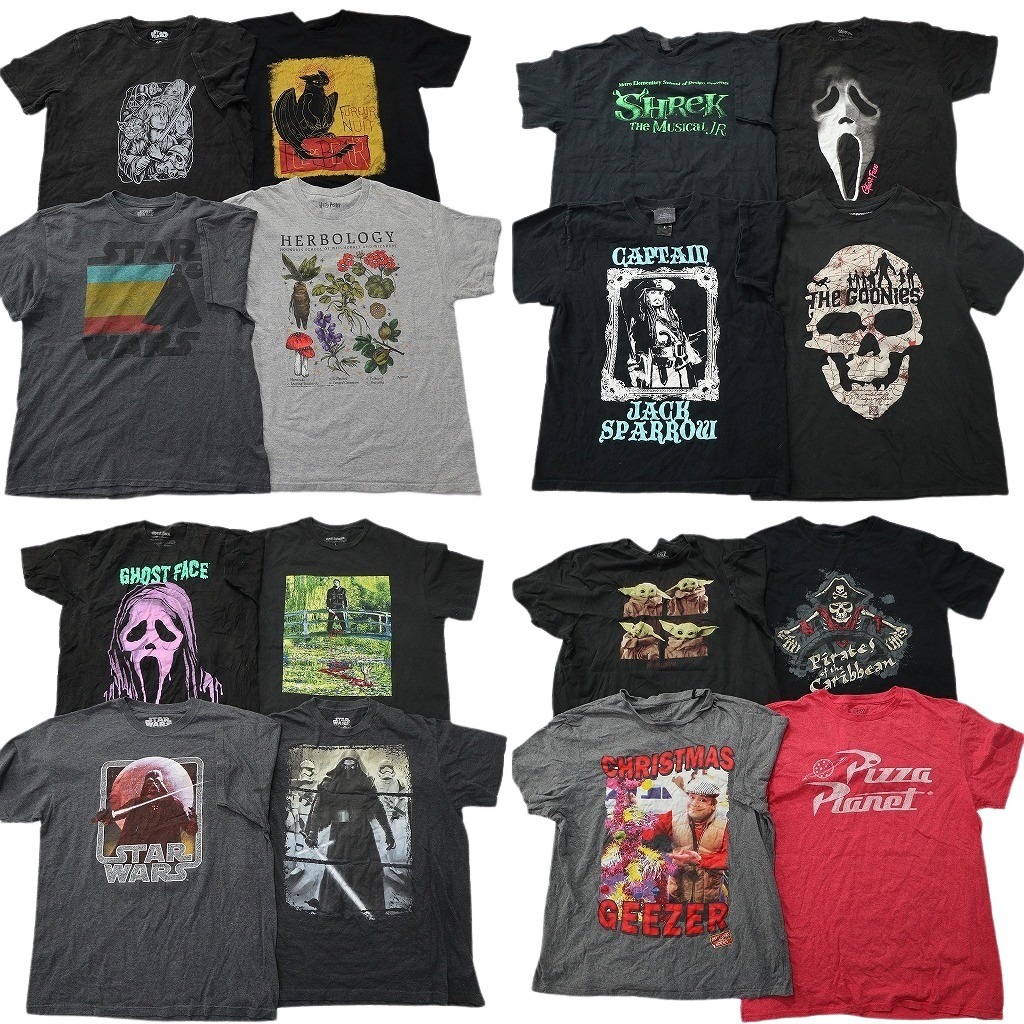 古着卸 まとめ売り 映画・ドラマ 半袖Tシャツ 16枚セット (メンズ L ) ハリーポッター ホラー ゴーストフェイス シュレック 中古 NE0008
