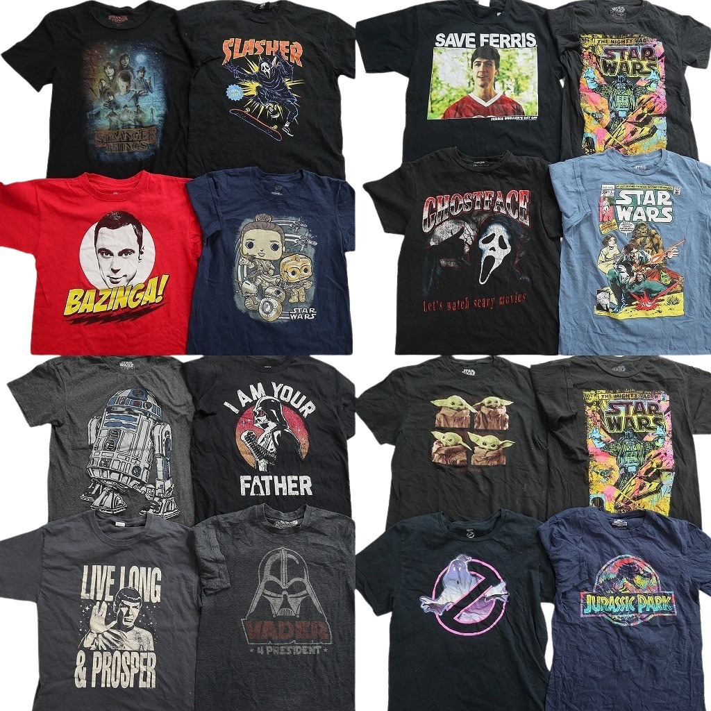 古着卸 まとめ売り 映画・ドラマ 半袖Tシャツ 16枚セット (メンズ M ) ホラー 人物 スターウォーズ ゴーストフェイス 中古 古着 NE0044