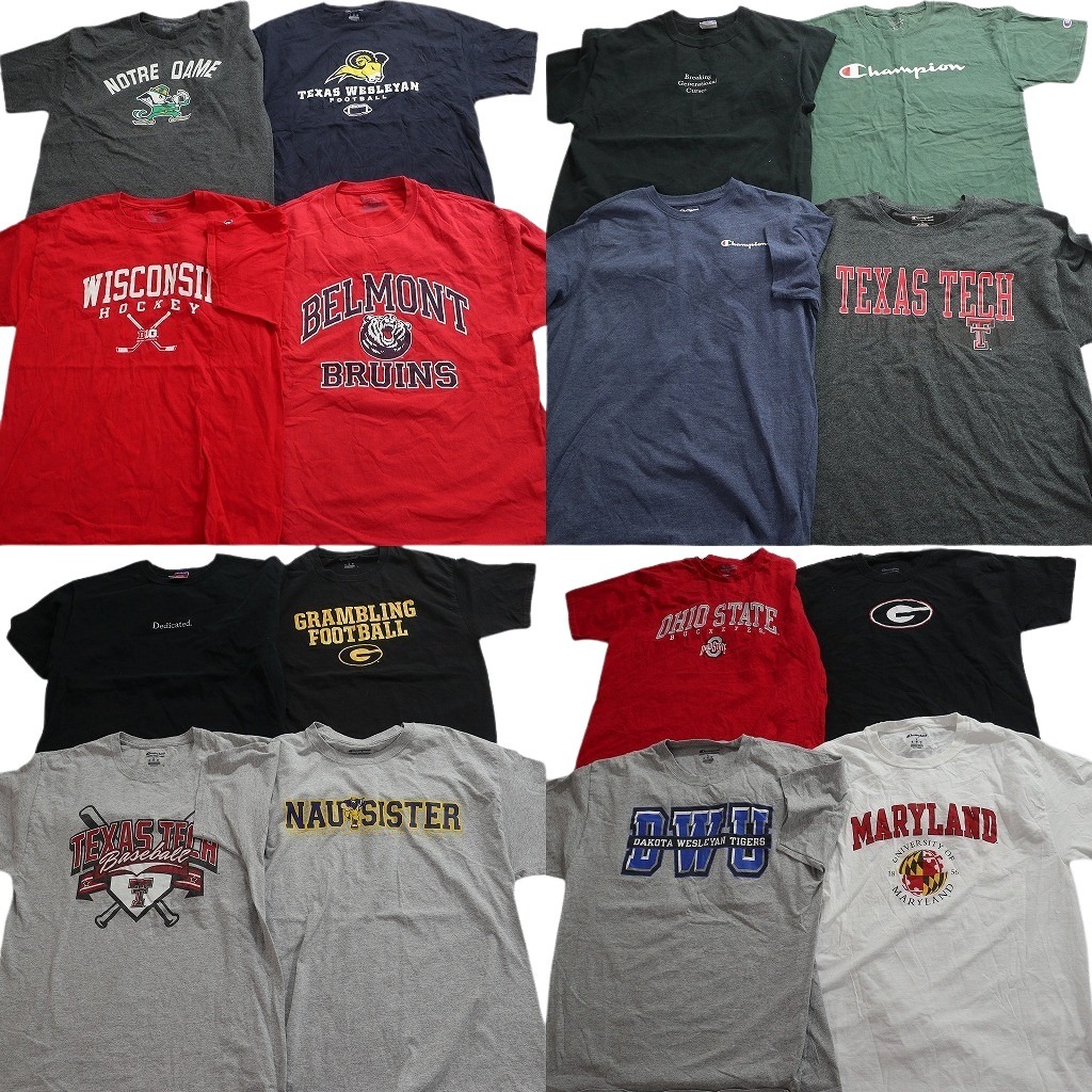 古着卸 まとめ売り チャンピオン 半袖Tシャツ 16枚セット (メンズ L ) 三段ロゴ カレッジ風 アーチロゴ 中古 古着 NE2292