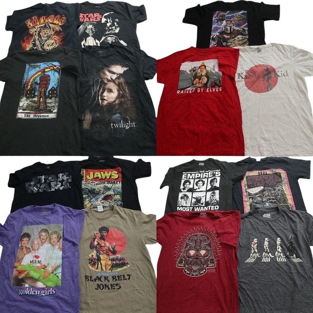 古着卸 まとめ売り 映画・ドラマ 半袖Tシャツ 15枚セット (メンズ M ) スターウォーズ ストレンジャーシングス ジョーズ 中古 古着 NE2697