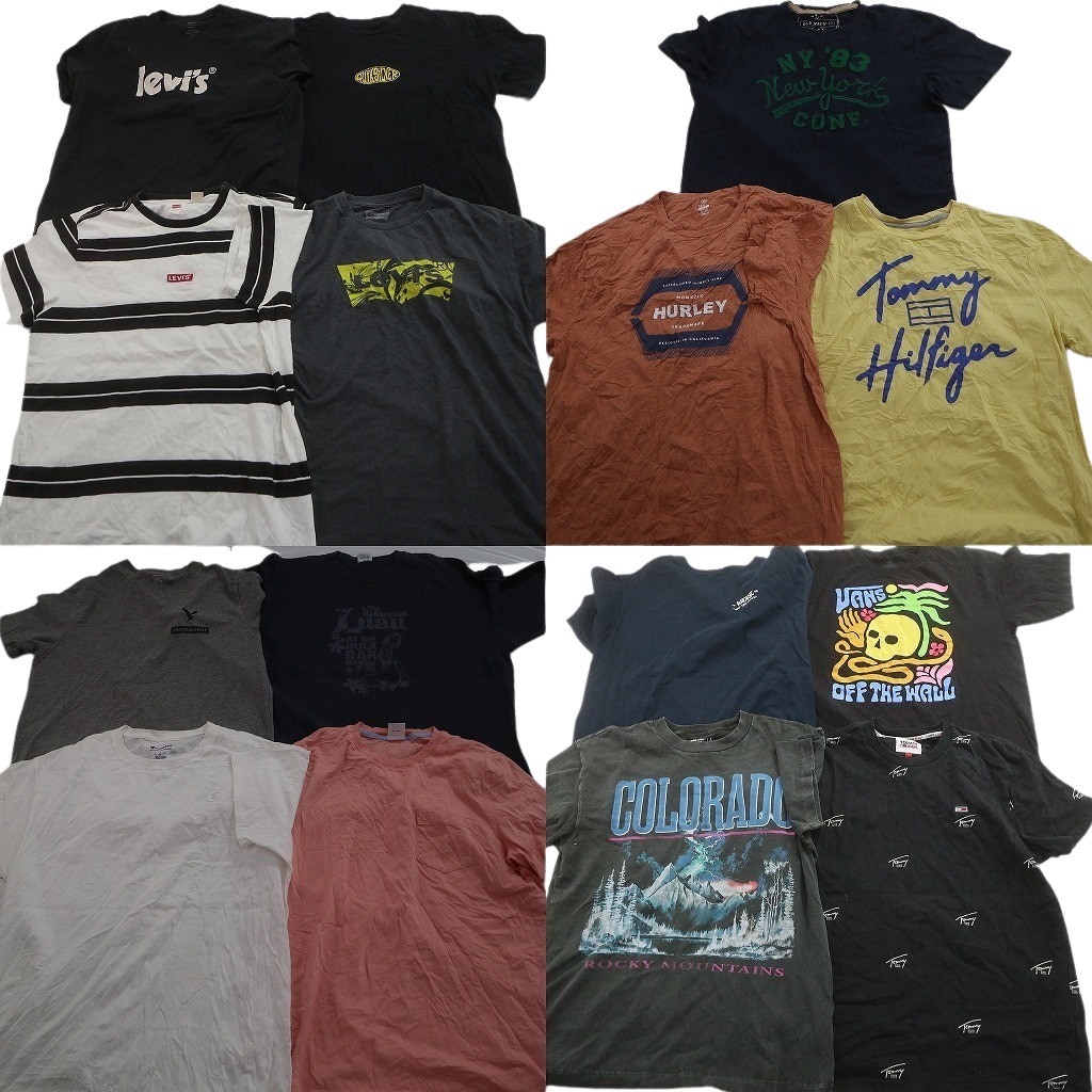 古着卸 まとめ売り ブランドMIX Tシャツ 15枚セット ( メンズ L ) トミー VANS チャンピオン リーバイス ブルックス 中古 古着 NE3894 8,284円