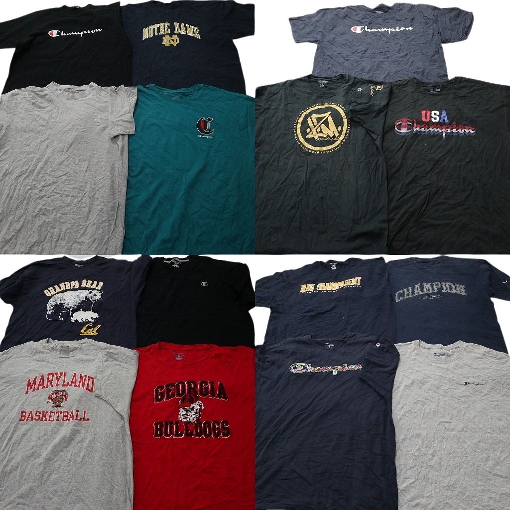 古着卸 まとめ売り チャンピオン Tシャツ 15枚セット ( メンズ 2XL ) カレッジ風 アーチロゴ アニマル 動物 中古 古着 NE4307