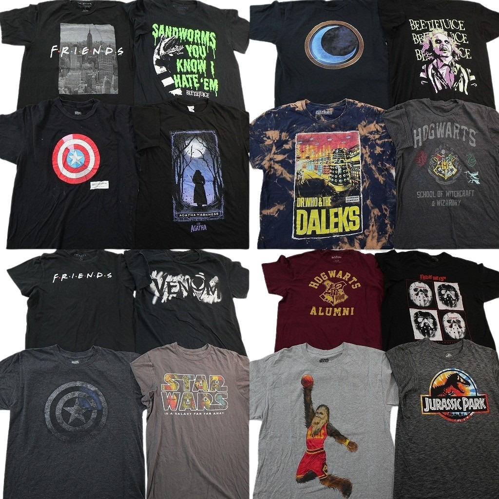 古着卸 まとめ売り 映画・ドラマ Tシャツ 16枚セット ( メンズ L/M ) ハリーポッター フレンズ キャプテンアメリカ 中古 古着 NF6875｜YAMAHISA USEDCLOTHINGSHOP