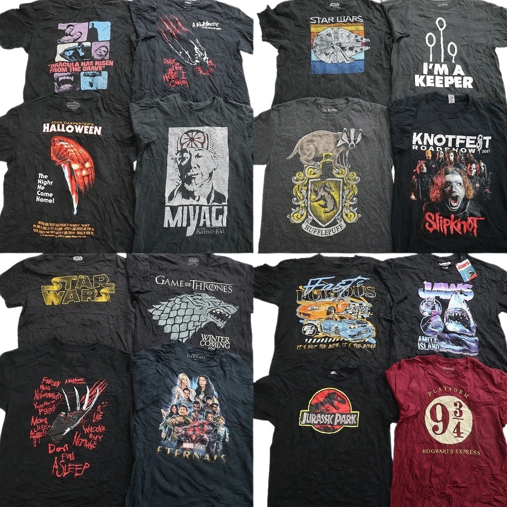 古着卸 まとめ売り 映画・ドラマ Tシャツ 16枚セット ( メンズ L ) スターウォーズ エルム街の悪夢 ジュラシックパーク 中古 古着 NF7540｜YAMAHISA USEDCLOTHINGSHOP 13,020円