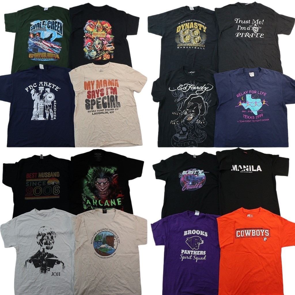 古着卸 まとめ売り プリント Tシャツ 16枚セット ( メンズ L ) アニマル動物 レーシング スカル柄 ブラック アーチロゴ 中古 古着 NF8132｜YAMAHISA USEDCLOTHINGSHOP