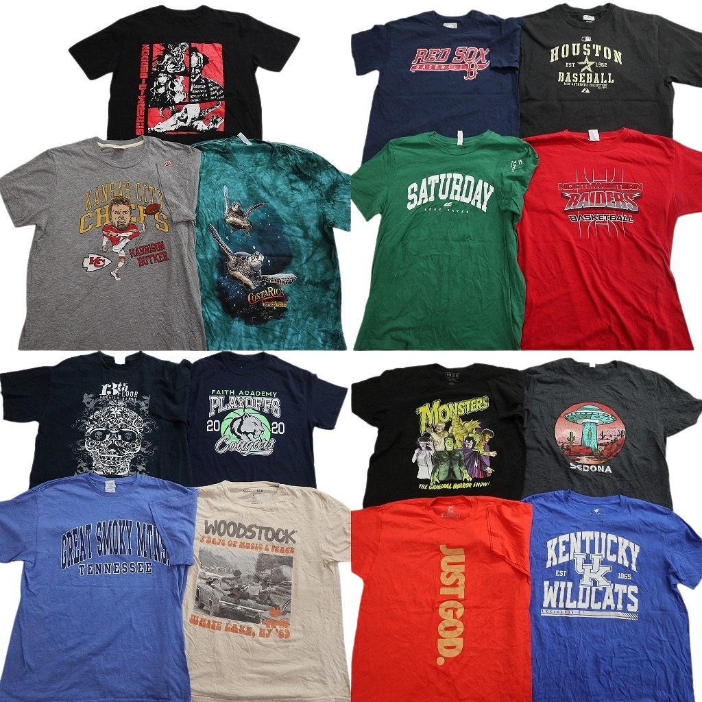 古着卸 まとめ売り プリント Tシャツ 15枚セット ( メンズ L ) タイダイ柄 スカル柄 プロチーム 袖プリント 中古 古着 NF8149｜YAMAHISA USEDCLOTHINGSHOP