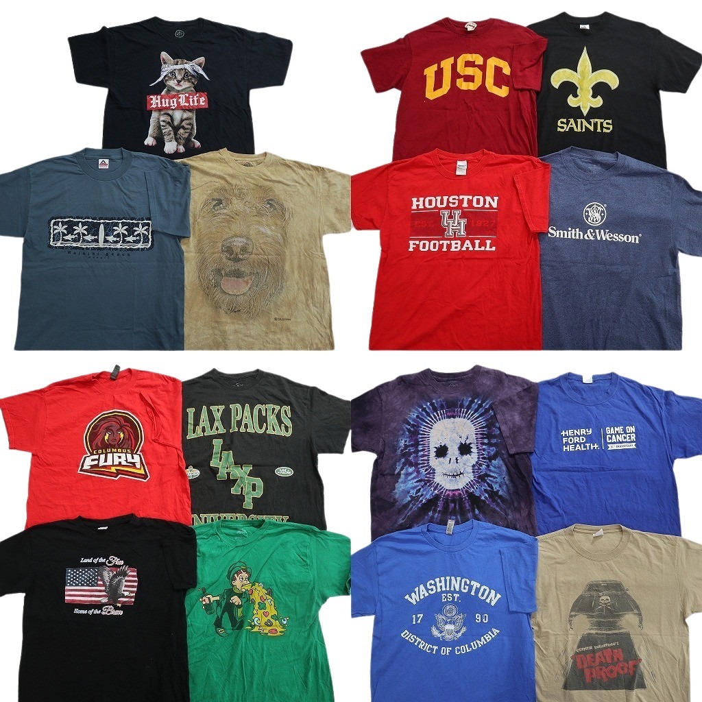 古着卸 まとめ売り プリント Tシャツ 15枚セット ( メンズ L ) アニマル 動物 スカル カレッジ風 プロチーム NFL 中古 古着 NF8213｜YAMAHISA USEDCLOTHINGSHOP 12,425円