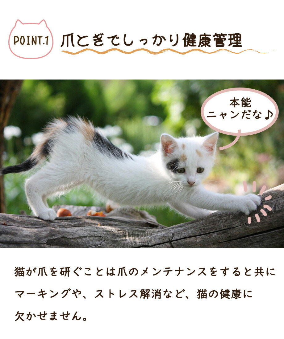 市場 あす楽 爪みがき ベッド 遊べるボール付き 富士猫爪とぎ スクラッチャー 爪とぎ 富士山 ダンボール爪とぎ リラックス 段ボール 爪研ぎ
