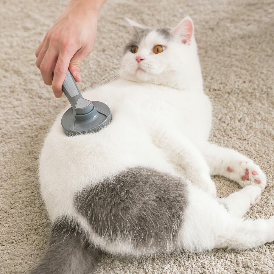 猫ブラシ ペット用毛取りブラシ ランキング 毛取り 毛抜き 猫 猫用品 除毛 スリッカーブラシ 長毛 短毛 猫ブラッシング ペット用品 毛玉取りブラシ  ワンプッシュ ペットグッズ 換毛期対策 ペット専用 ネコ 犬用品 犬 ねこぶらし ブラシ ネコブラシ ブラシ ...