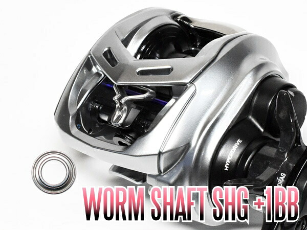 ダイワ 21 ジリオン1000HL SVTW ウォームシャフト両サイドベアリング ダイワ】21ジリオンSV TW用 ウォームシャフトベアリング（+2BB）