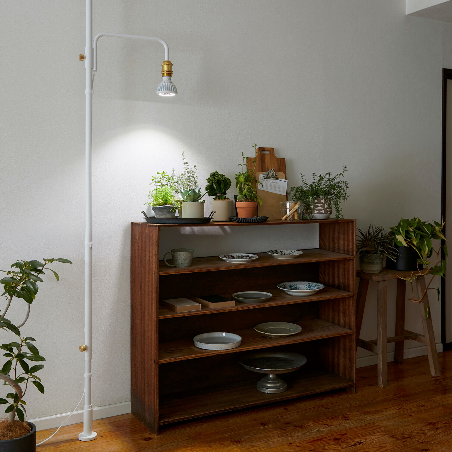 楽天市場】【公式】DRAW A LINE ドローアライン SET ブラック Light