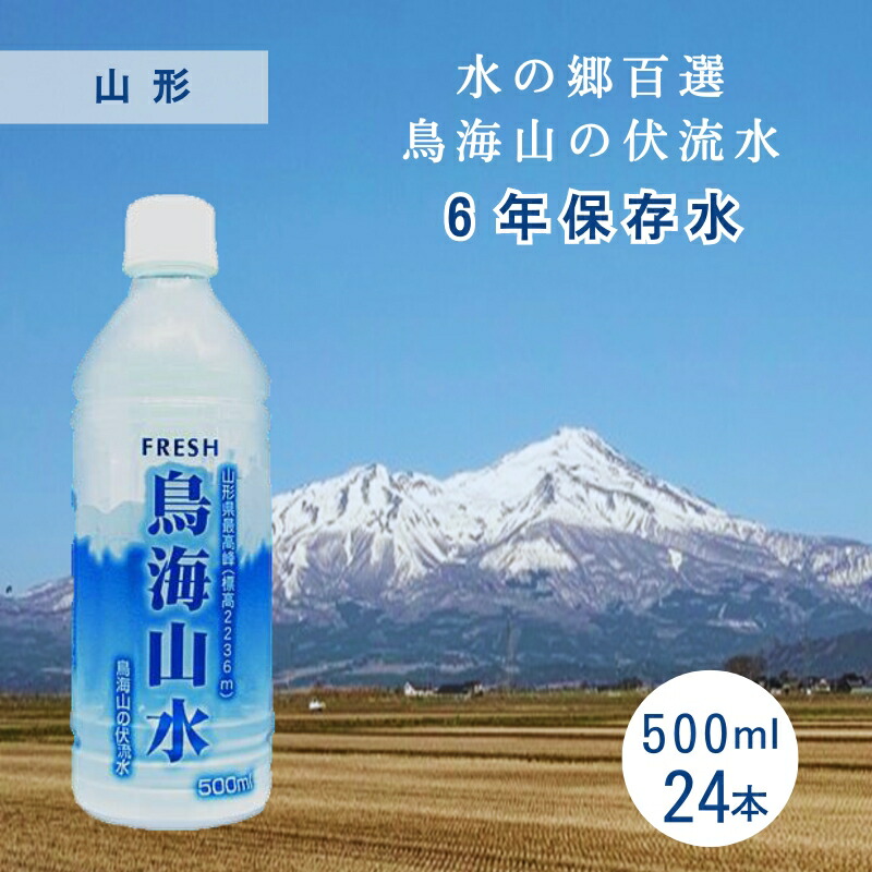 水 ミネラルウォーター みず 備蓄水 10年 THE LIFE WATER 490ml