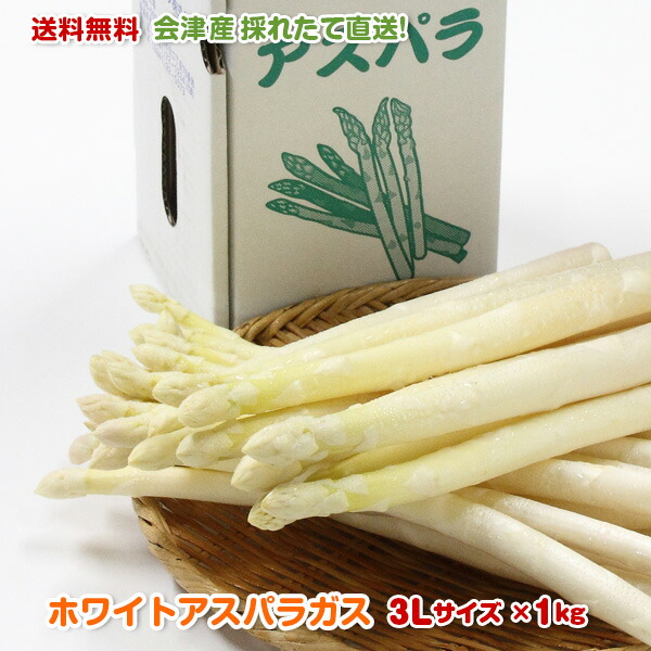 273 3L 1kg 82％以上節約 送料無料 会津産 ホワイトアスパラガス 3Lサイズ 長さ25〜26cm×約20本 国産 産直 夏野菜 お取り寄せ 春野菜 産地直送 旬 福島 野菜 激安な 復興 朝採り