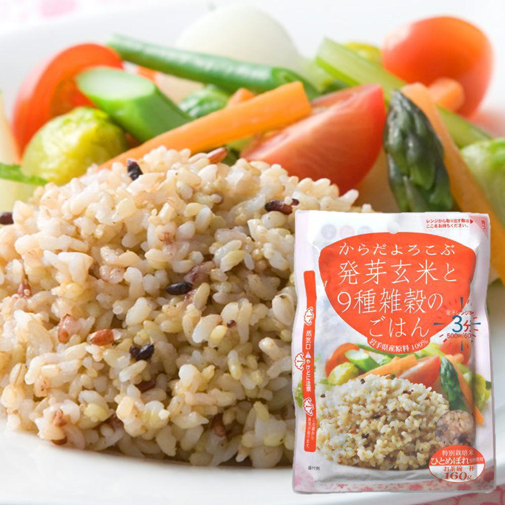 【全品P2倍★マラソン限定】[36袋]  レンジご飯 発芽玄米と9種雑穀のごはん 160g×36袋セット レトルトごはん レンジ ご飯 パック 国産 岩手県 ごはん 玄米 送料無料 (103) 父の日
