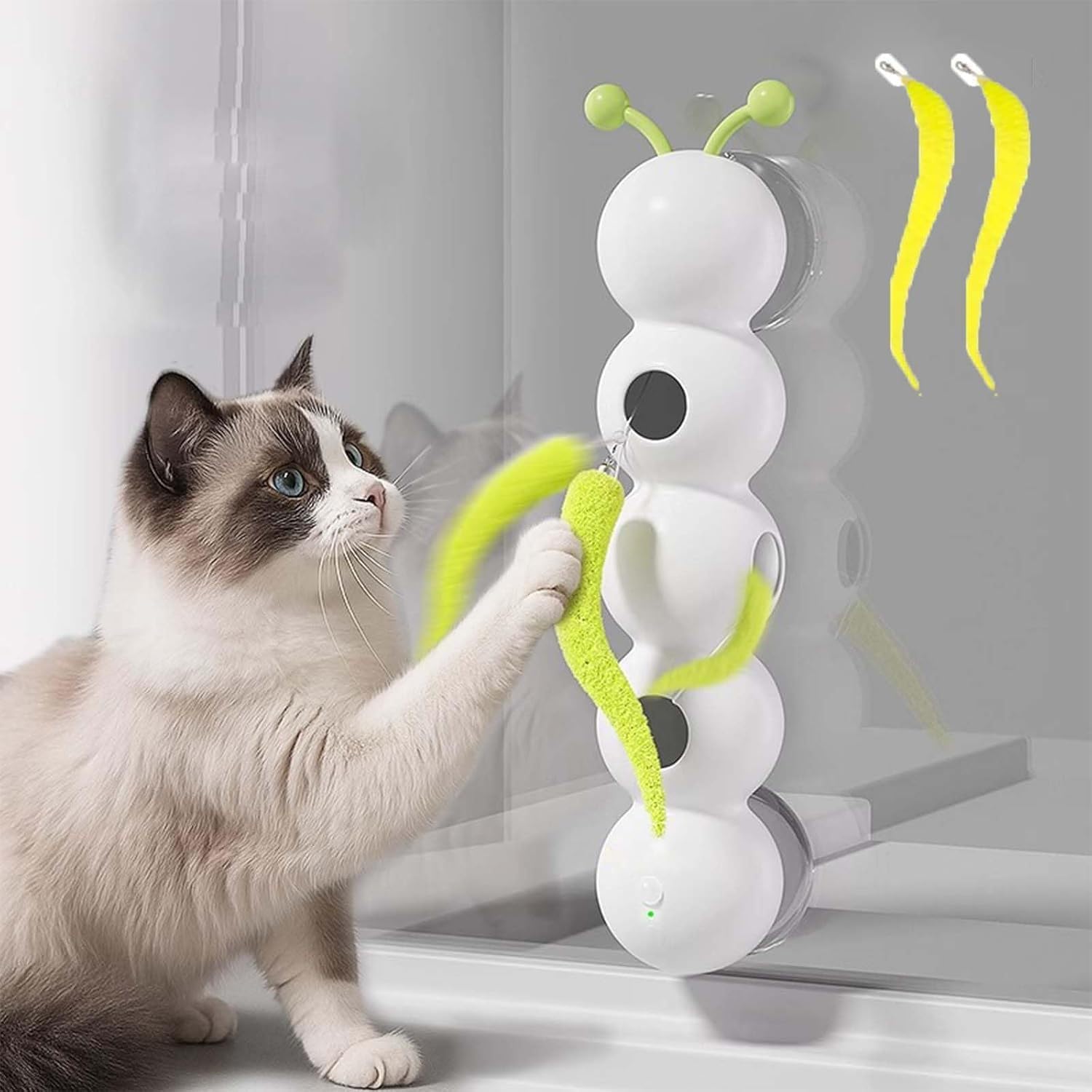 猫のおもちゃ imgrc0112906544.jpg