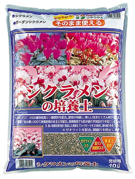 楽天市場 シクラメンの培養土 約10l G7 クーポン配布店舗 Gardening園芸と土 刀川平和