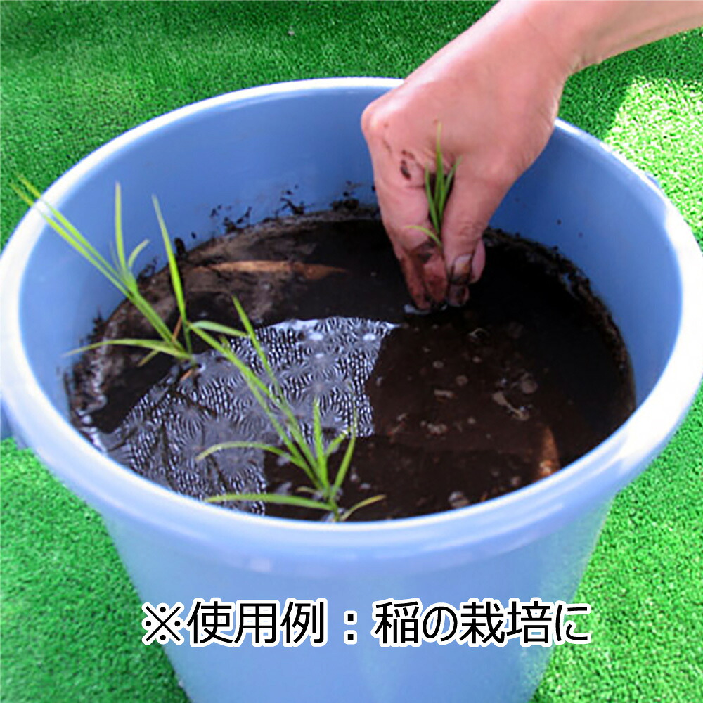 黒土　約14L[g12]【クーポン配布店舗】