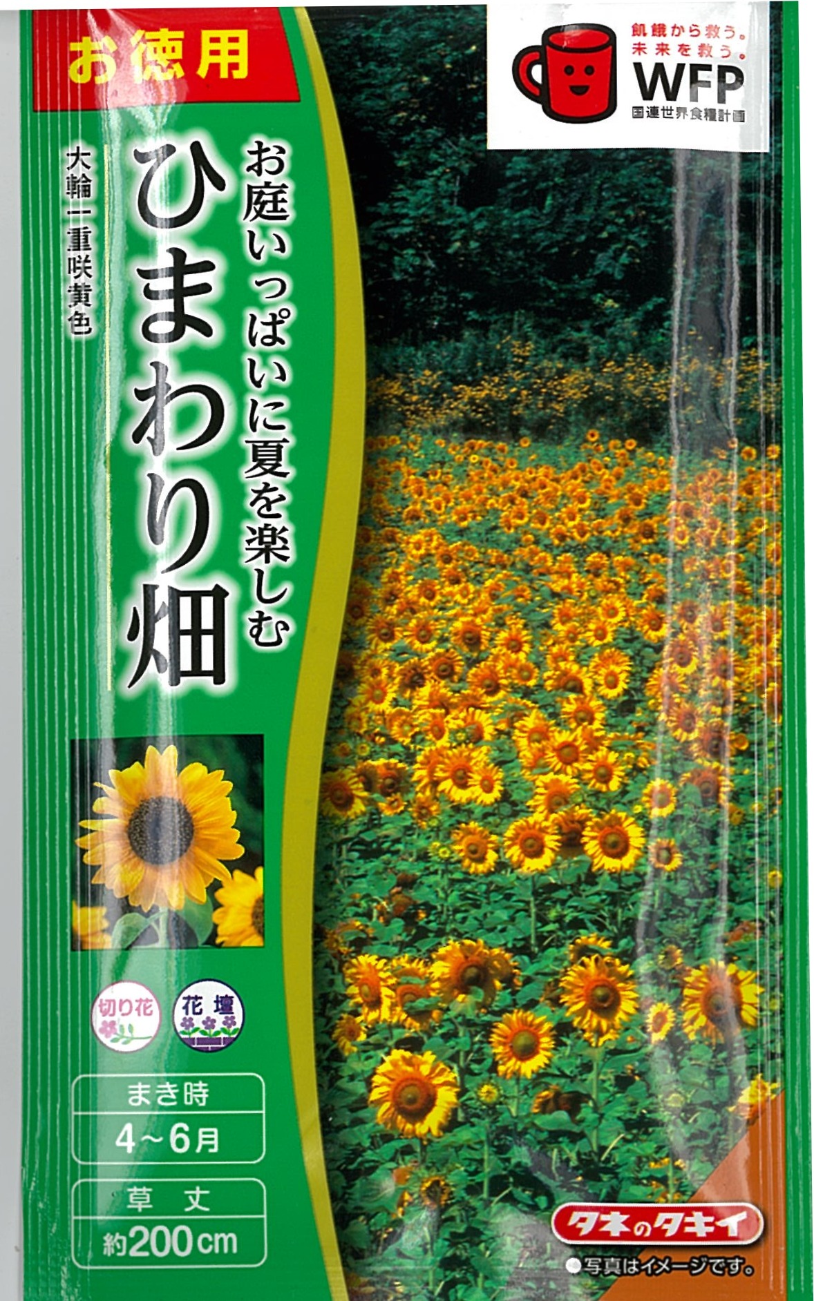 ヒマワリページ 785-FHM604.jpg?1