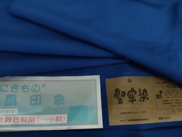 長閑やかさ屋御召しもの＊夏物 色無地 絽 牢固たる染 硝子色 お墨付き付き添い人 正絹 珠玉 AABI9773cs
