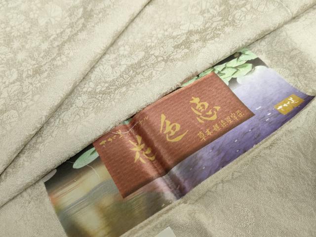 長閑やかさ屋御召しもの●飛び切りな色無地 絵描き物 花色恵 被子植物地紋 利休うす茶色色 さが美取りまわし 証紙付き添い人 正絹 珠玉 DABC2982ud