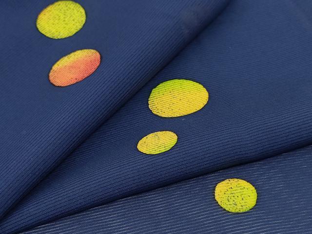 長閑やかさ屋御召しもの＊夏物 小紋 絽 丸文 正絹 珠玉 AABH9519jd