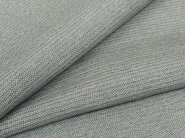 平和屋着物*夏物 江戸小紋 絽 鮫小紋柄 正絹 逸品 AABG9124jd|平和屋