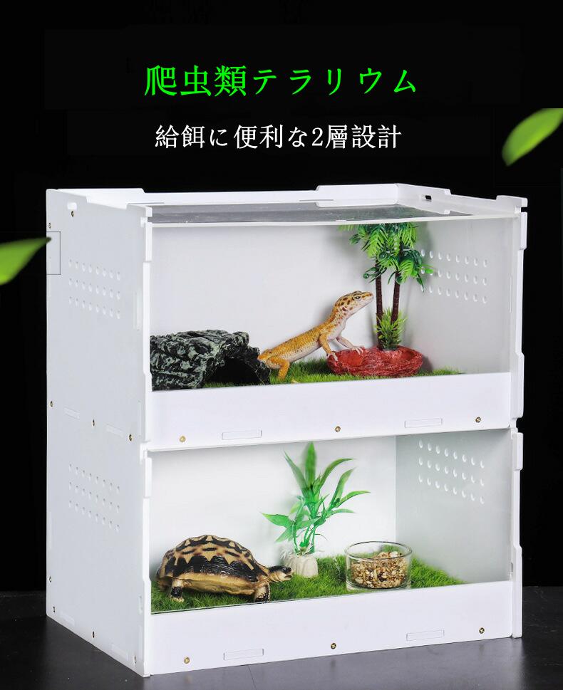 楽天市場】【送料無料】プラスチック飼育ケース 折りたたみ式