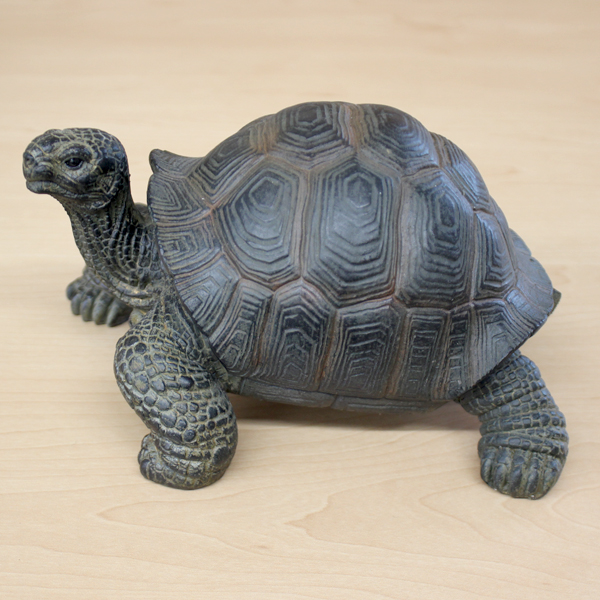 楽天市場 貯金箱 ペットバンク Tortoise リクガメ 町の小さな雑貨屋さん アポン