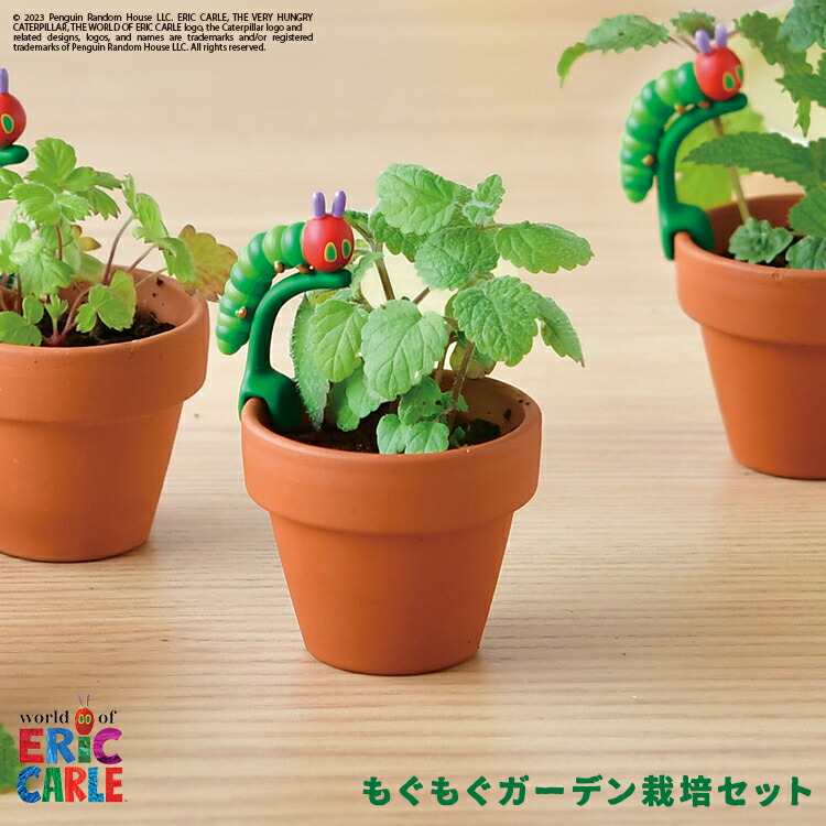 楽天市場】【2月20日 5％OFFクーポン】栽培キット ハーブ / モノクロ