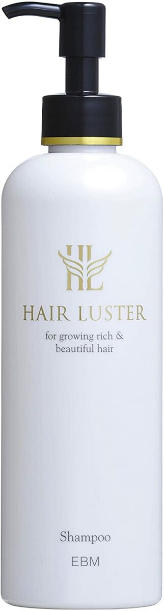 EBM　ヘアラスターシャンプー　300ml　コンディショナー　240g　未使用品 EBMヘアラスターシャンプー300mlコンディショナー240g未使用品