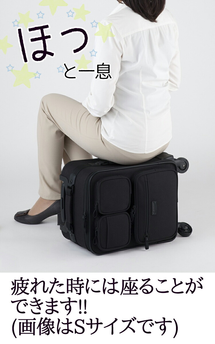 ビジネスキャリーバッグ ショッピングカート スワニー スワニー スワニー おすすめ ビジネス Bermas バーマス ポケットバッグ 座れる おすすめ ポケットバッグ5 T 415 Swany S キャリーバッグ バッグ の 19l スワニーバッグ ハローネットワーク キャリー スワニーキャリー