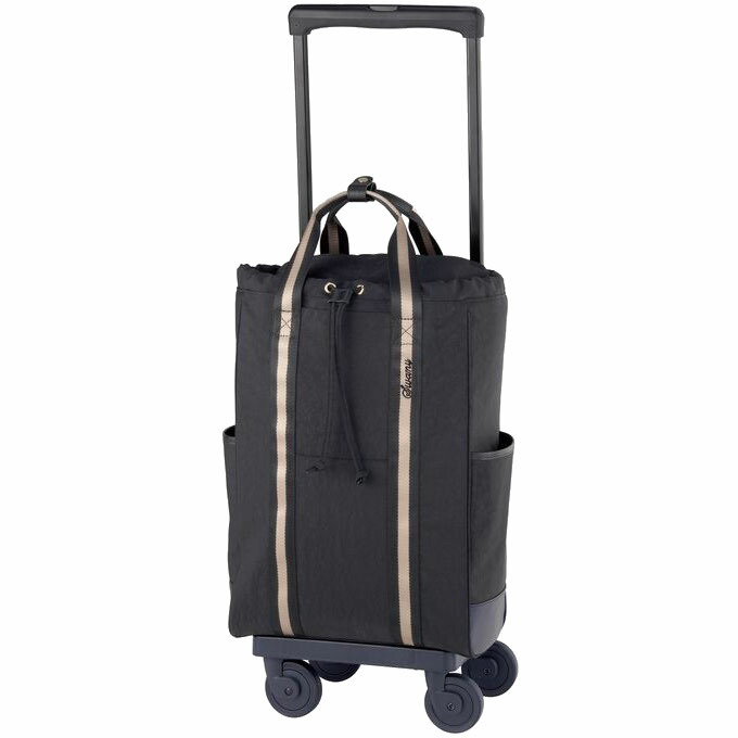 スワニー キャリーバッグ ショッピング カート ショッピングカート ショッピング キャリーカート ウォーキング Swany ラーヴ バッグ D 485 L21 22l ご 高齢 者 スワニーキャリーバッグ 高齢者 キャリー シニア カート 支える バッグ 4輪ストッパー付き Sfeah Com