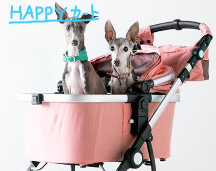 ピッコロカーネ カリーノ アルファ CARINO α ピッコロカーネカート 犬 ペットカート 犬用 ドッグカート Piccolo Cane 小型犬 ペット カート キャリー ペットキャリー カリーノアルファ ピッコロカーネ ドッグカート carino α｜ハローネットワーク
