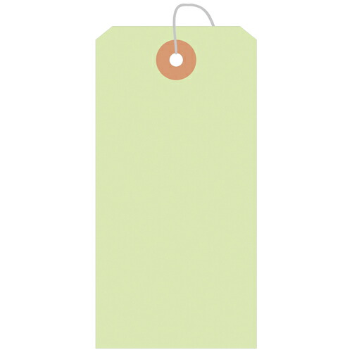 【送料無料】25-145 ササガワ カラー荷札 大 黄緑 一穴 1000P【お取り寄せ】
