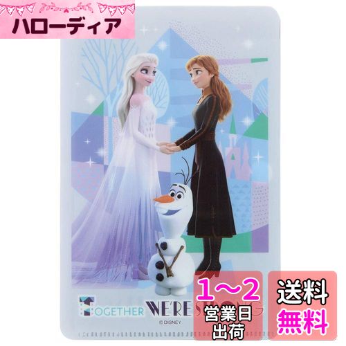 スケーター (skater)マスクケース 小さめサイズ用 小物 カード ポケットティッシュ 収納 アナと雪の女王 2 ディズニー MKC2画像