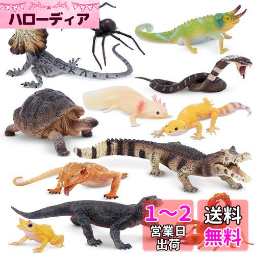 爬虫類フィギュアセット Amazon.co.jp: トカゲの動物フィギュア 6インチ 色変更可能 伸縮
