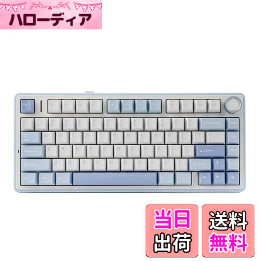 【送料無料】EPOMAKER x Aula F75 ゲーミングキーボード ガスケット メカニカルキーボード 5層パッド＆ノブ付き 75% ワイヤレス ホットスワッパブル Bluetooth/2.4GHz/USB-C RGB 技適認証取得 (Sea Salt Blue, LEOBOG Reaper Switch)
