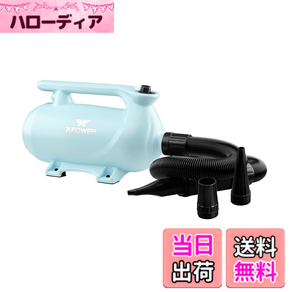 【貨物輸送無料】XPower B-163 愛玩動物ドライヤー 低耳障りな音 二座標軸合わせる能力のあるな熱備え付ける 参のノズル付き添い人 持ちはこび用愛玩動物用ドライヤー 3色オプション 色：青碧
