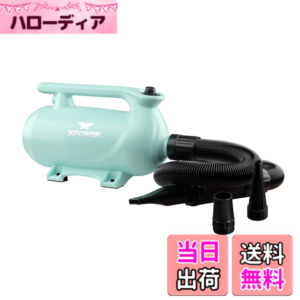 【貨物輸送無料】XPower B-163 愛玩動物ドライヤー 低耳障りな音 二座標軸合わせる能力のあるな熱備え付ける 参のノズル付き添い人 持ちはこび用愛玩動物用ドライヤー 3色オプション 色：緑であること