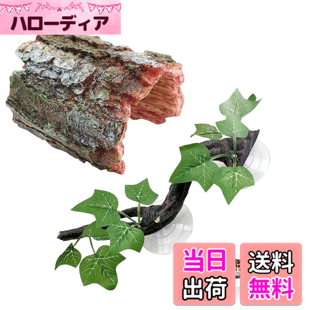 楽天市場】【送料無料】Archnote 爬虫類 シェルター レオパ カナヘビ