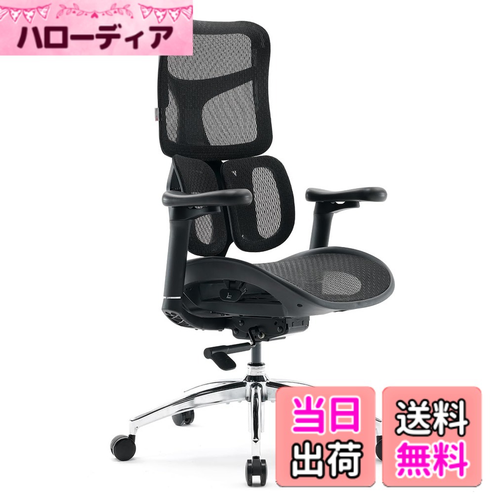 【貨物輸送無料】SIHOO 事務室女性議長 居敷き 勉強机女性議長 3D踊躍上ぼり式アームレスト 独立独行式ランバーサポート 2Dヘッドレスト テレ細工物 疲れない メッシュ女性議長 色：黒いこと