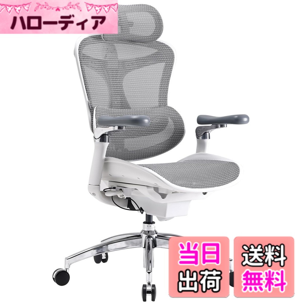 【貨物輸送無料】SIHOO Doro C300 事務室女性議長 腰掛け デスクチェ 万物の霊長科学技術 女性議長 色：薄墨色、大きさ：C300 PRO