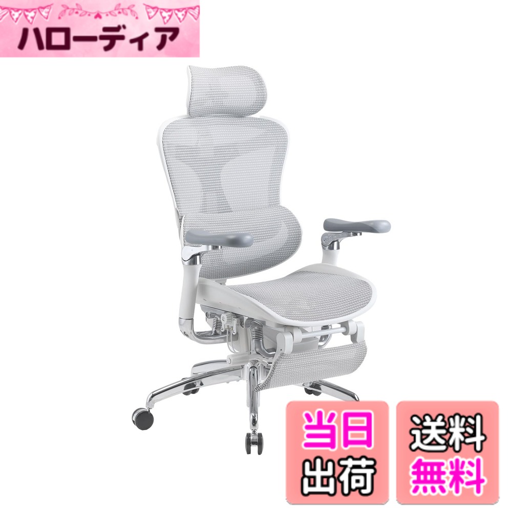 【送料無料】SIHOO Doro C300 オフィスチェア 椅子 デスクチェ 人間工学 チェア 色:グレー、サイズ:C500-JT